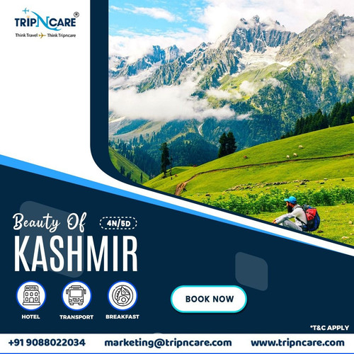 Discover the Unrivaled Beauty of Kashmir with Tripncare.jpg