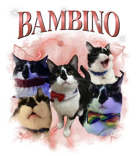 bambino.png