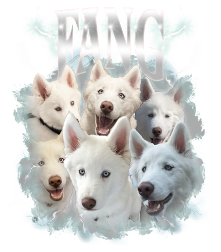 FANG.png