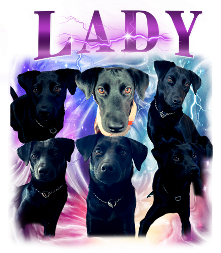 lady.png