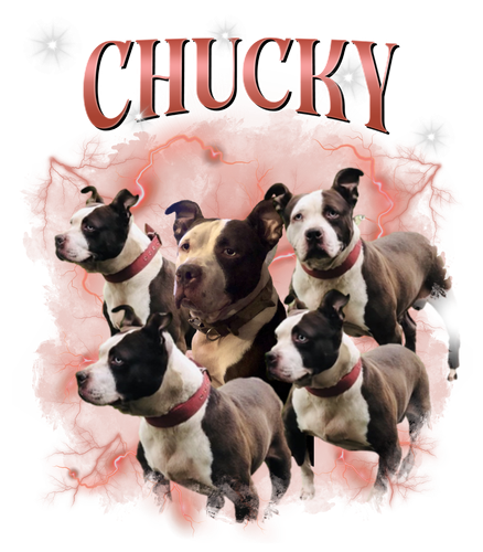 chucky.png