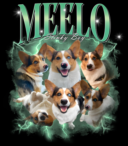 Meelo.png