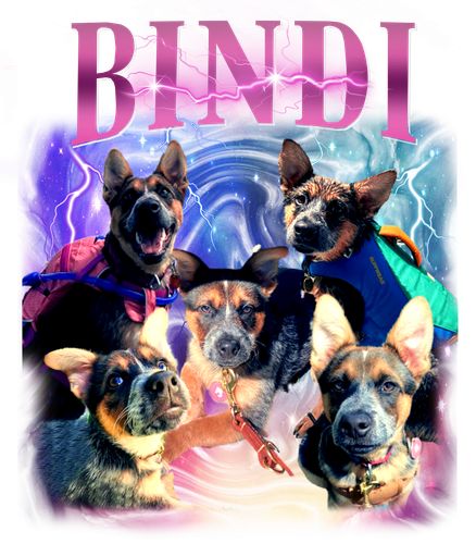 bindi.png