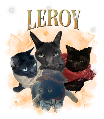 leroy.png