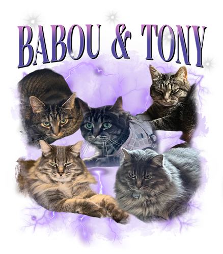 Babou & Tony1.png