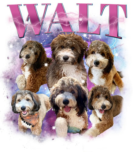 3147390482 pink walt.png