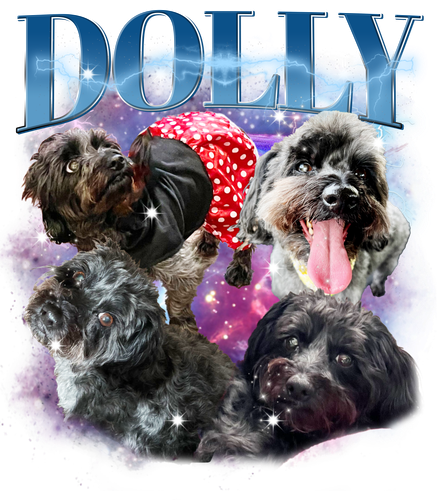 3147390482 dolly.png