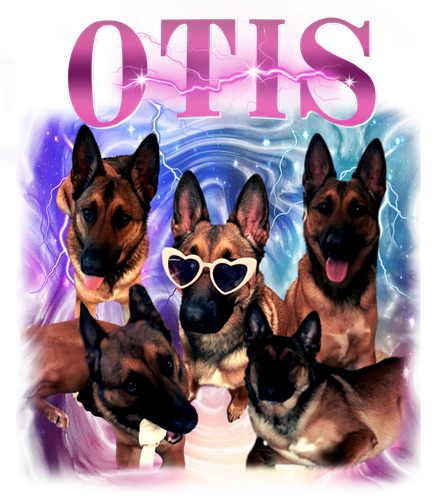 otis.png