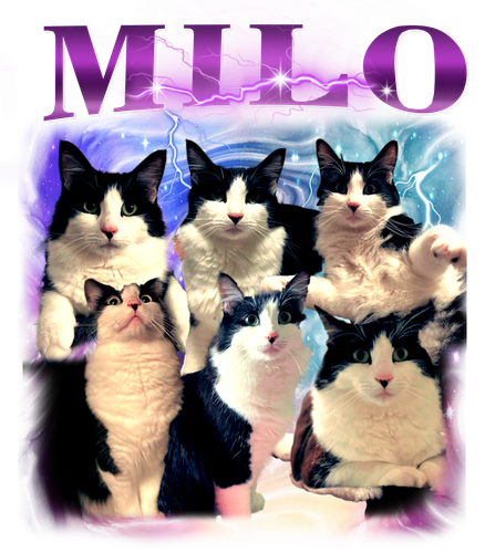 millo.png