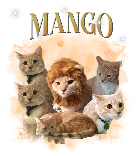 MANGO.png