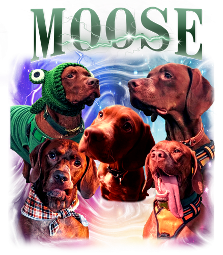 moose.png