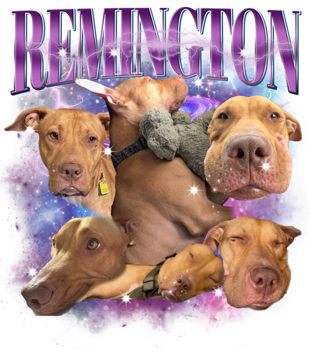 3138760527.png