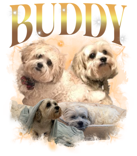 Buddy.png