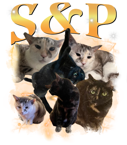 S&P 2.png