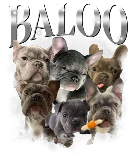 Baloo.png
