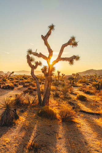 explore with joshua mErSbLOqSJk unsplash.jpg