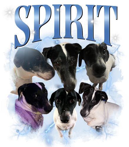 Spirit.png