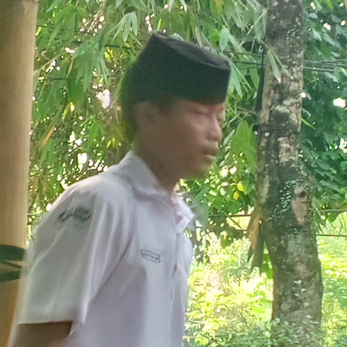 image.jpg