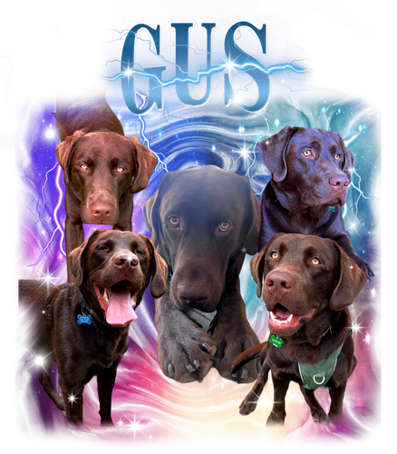 3145588360 Gus 6 f1.png