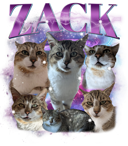 3146736754.png