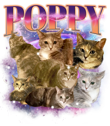 3139335175.png