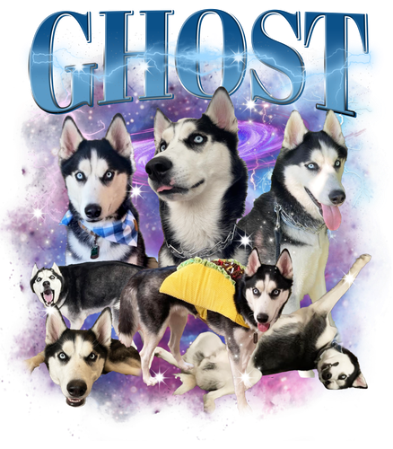 3145359688 2.png