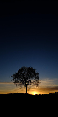 nature f0098f41 b66e 4f84 9a5d 7961954e523b.jpg