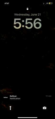 IMG 5679.png