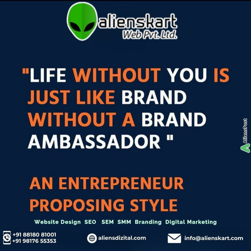 An enterpreneur priposing style.jpg