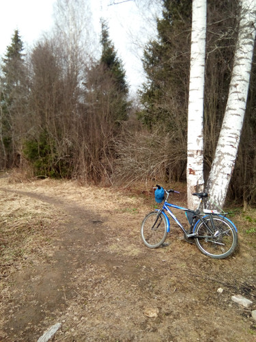 IMG 20240410 152302.jpg