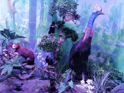 IMG 20240402 150134.jpg