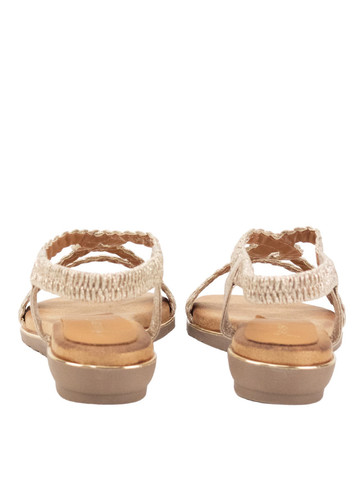 35143 1 Photoroom (1).jpg