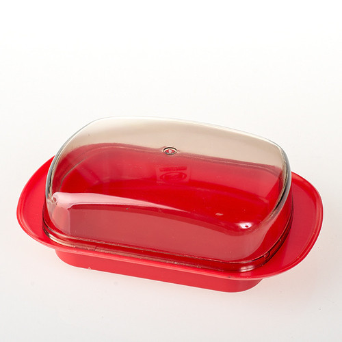 socenter 1865 2024 03 13.jpg