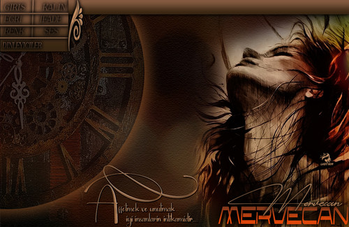 Lady Nur Dj Mervecan Affetmek.jpg