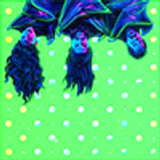 icons longerthanwedo (86)