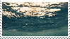 IMG 9246.gif