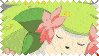IMG 9204.gif