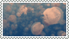 IMG 9243.gif
