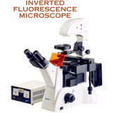Inverted Fluorescence Microscope (1)
