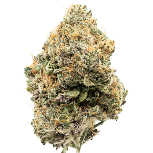 Gary Payton Inspiration.png