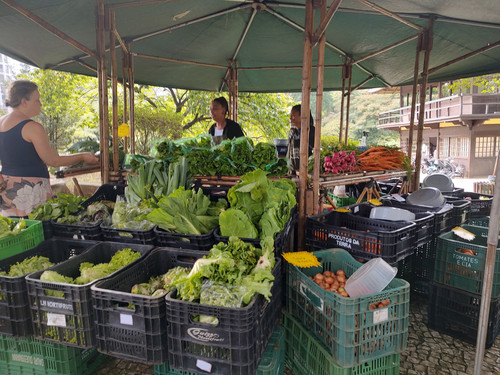 IMG 20240411 092326813 HDR.jpg