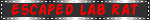 IMG 9014.gif