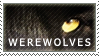 IMG 9008.png