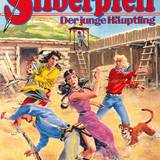Silberpfeil 374