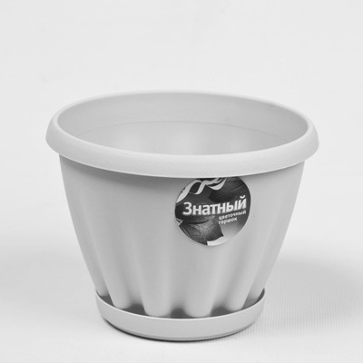 socenter 16809 2024 03 13.jpg