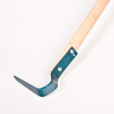 socenter 9131 2024 03 13.jpg