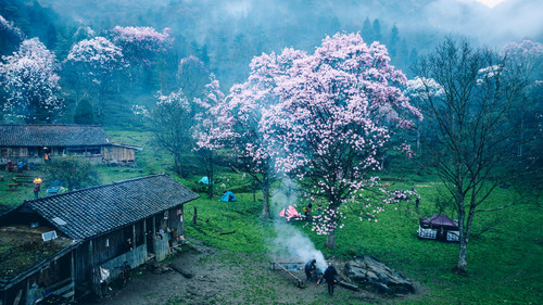 DJI 20240411064227 0066 D HDR.jpg
