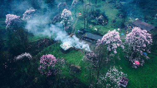 DJI 20240411064657 0092 D HDR.jpg