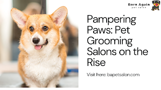 pampering pets.png