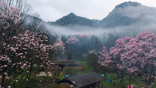 DJI 20240411072505 0120 D HDR.jpg